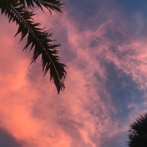 Meet your Posher, Carina